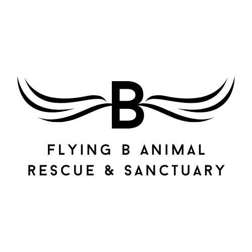 Flying B Animal Rescue & Sanctuary