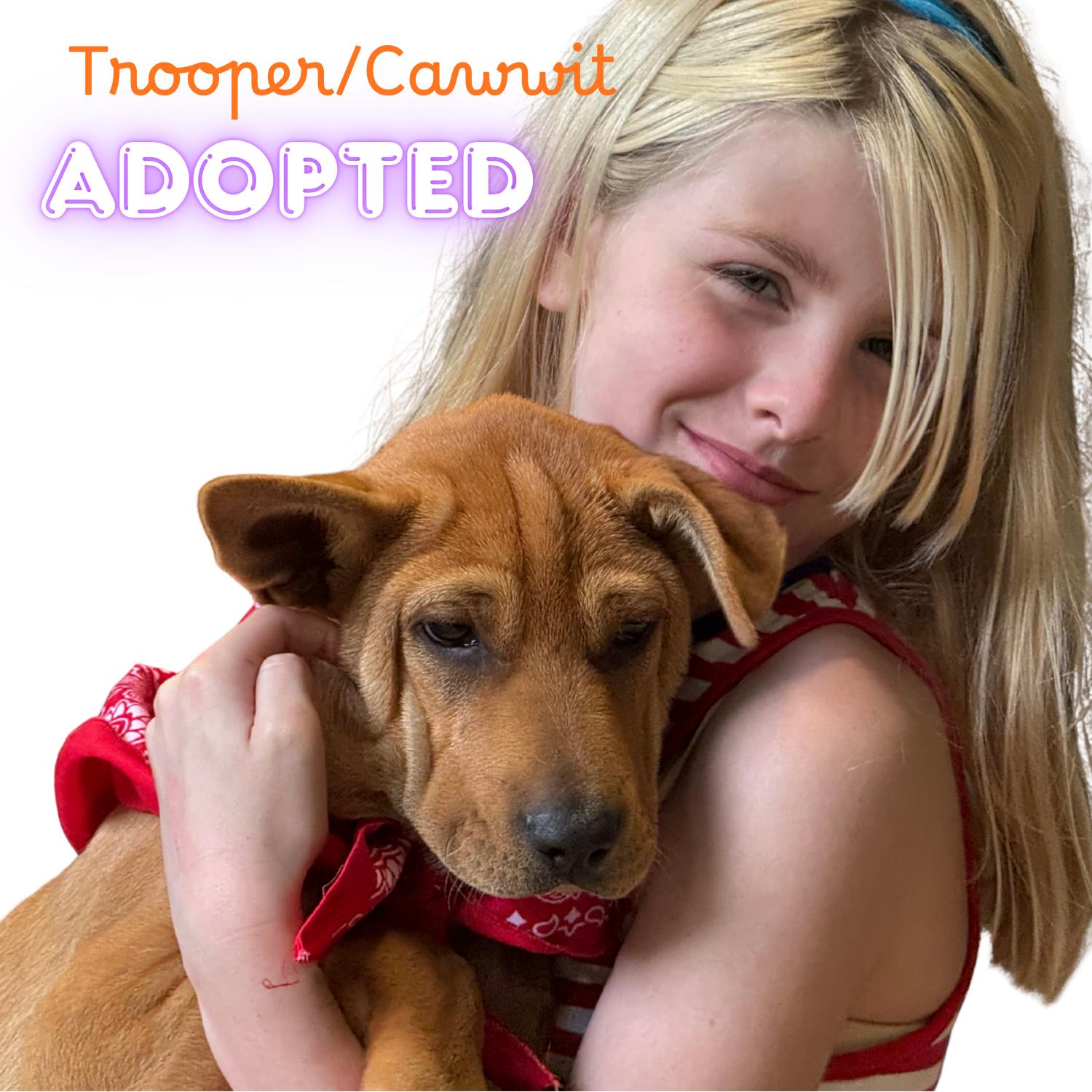Dagger's Refuge Rescue photo 1
