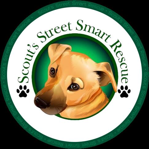 Scout's Street Smart Rescue