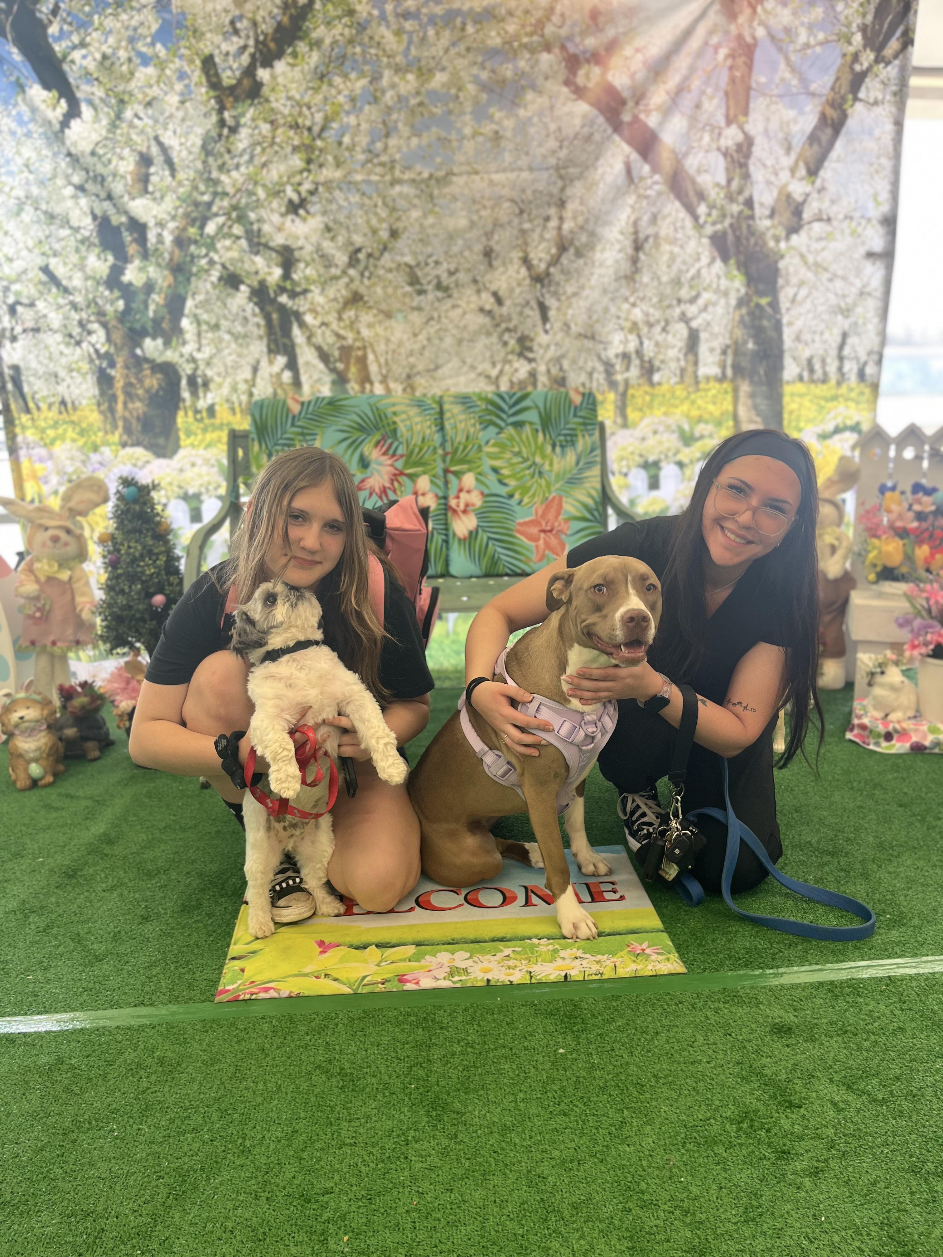 Atlas and Anakin Fur-ever Dog Rescue photo 1