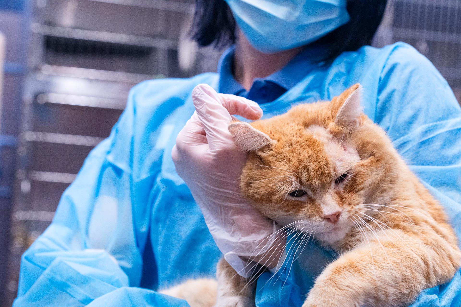 Animal Humane Society - Coon Rapids photo 5