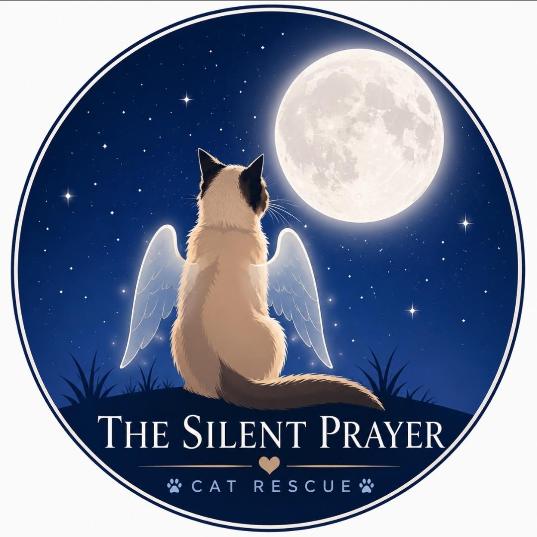 The Silent Prayer