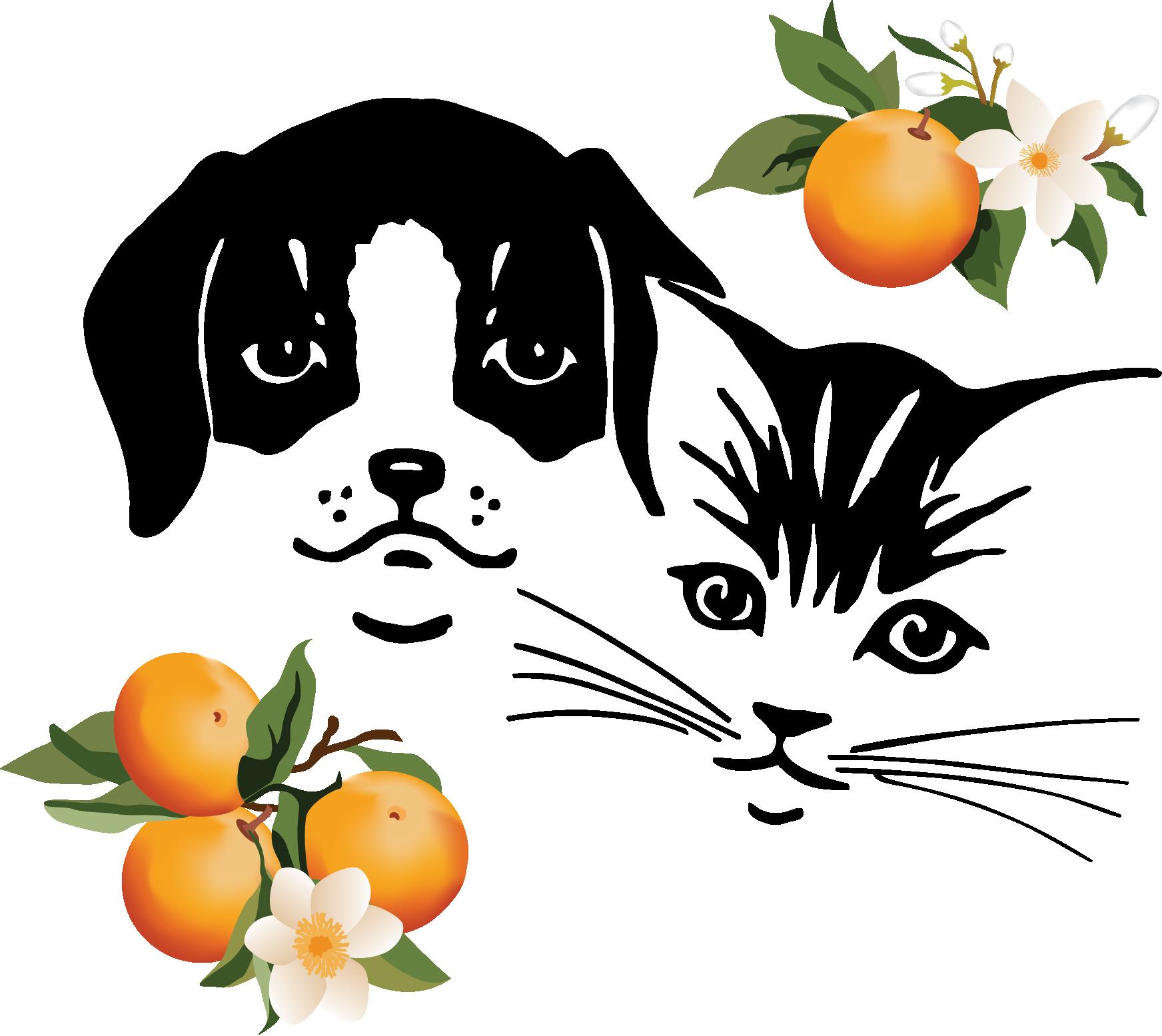 Redlands Humane Society