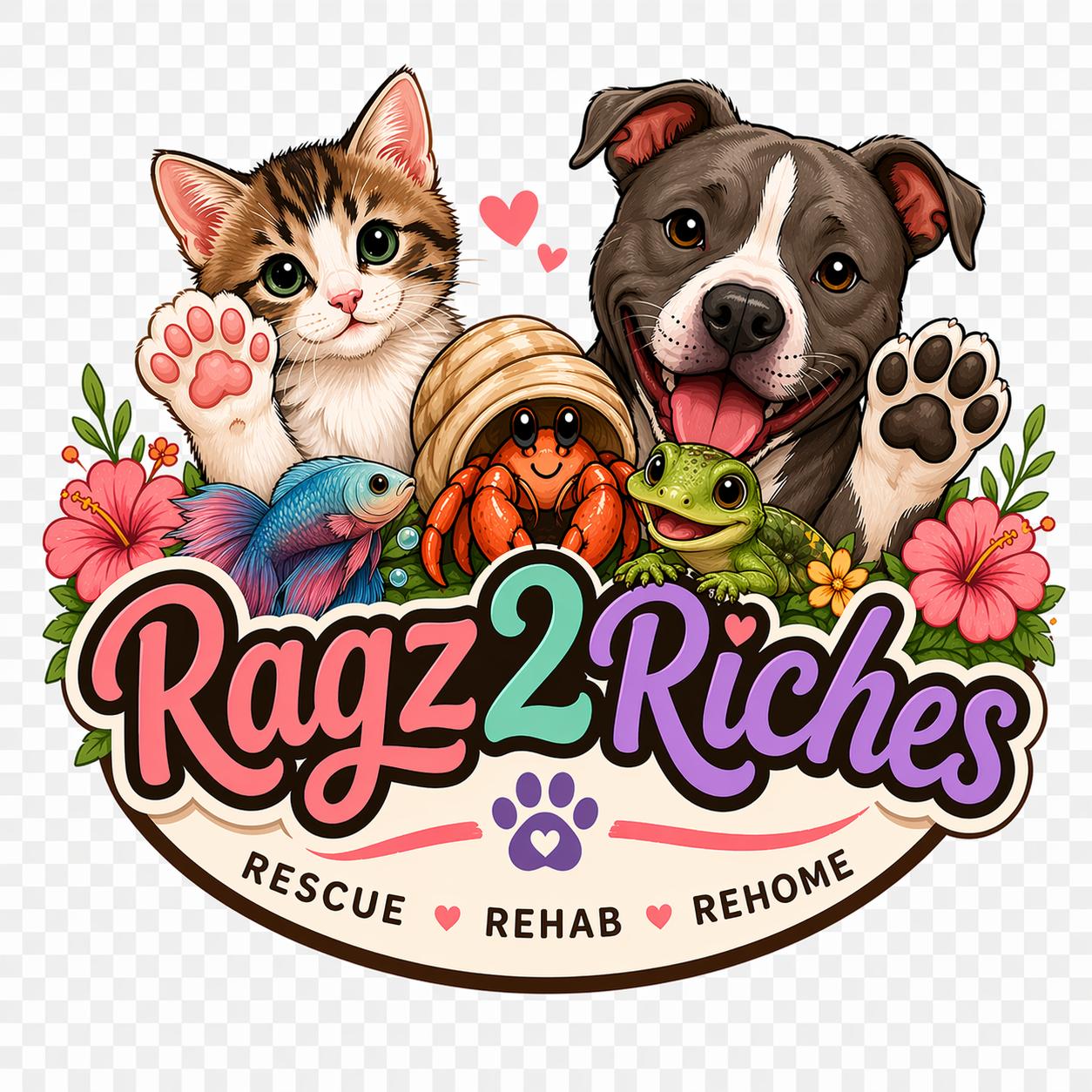 Ragz 2 Riches