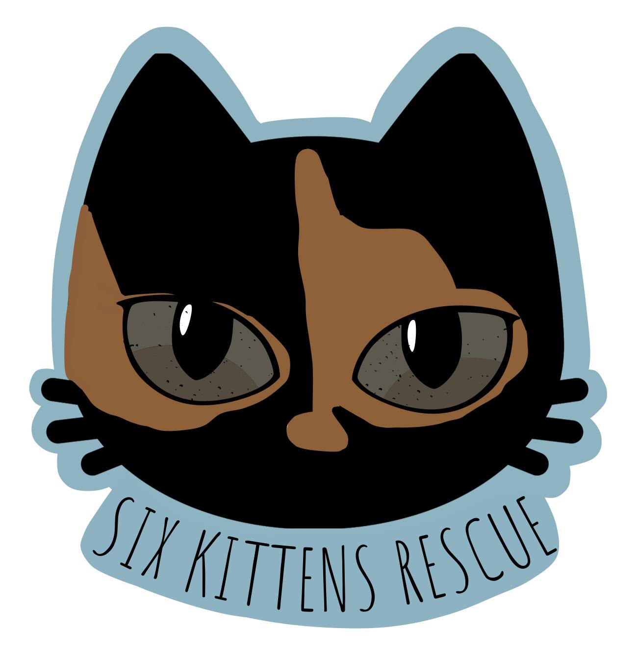 Six Kittens Rescue