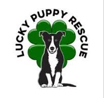 Lucky Puppy Dog Rescue & Kennel, Inc.
