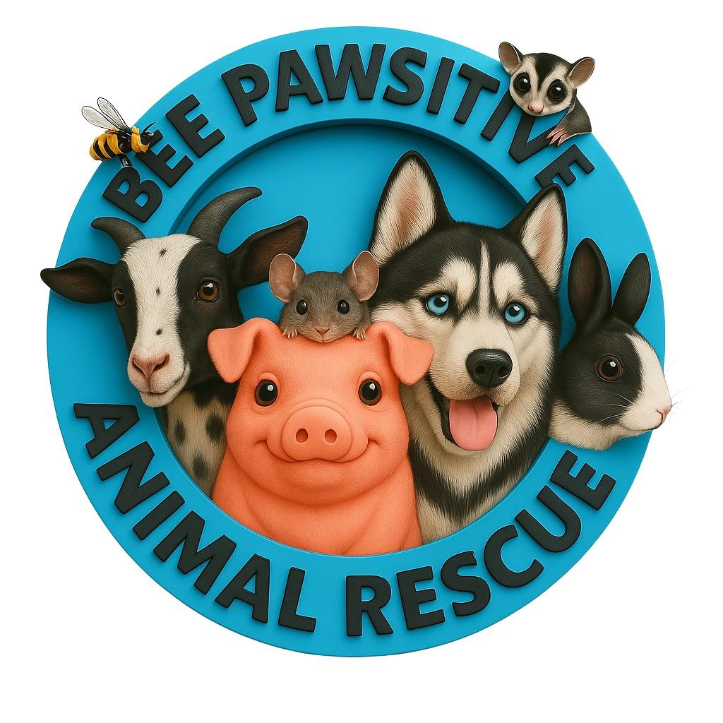Bee Pawsitive Husky Rescue