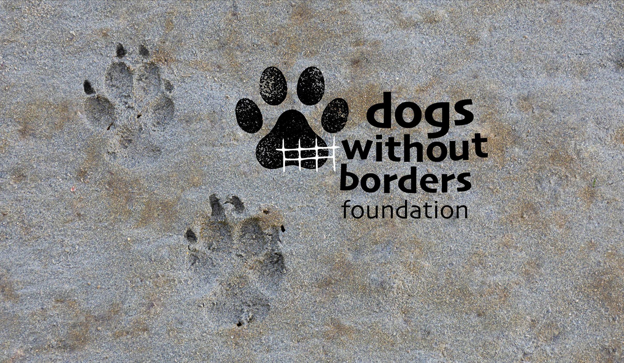 Dogs Without Borders Foundation