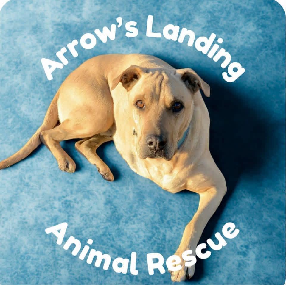 Arrows Landing Animal Rescue