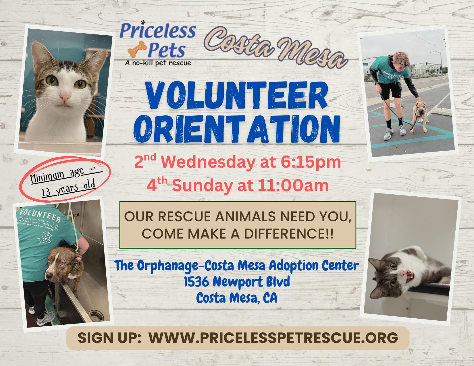 Priceless Pet Rescue photo 2