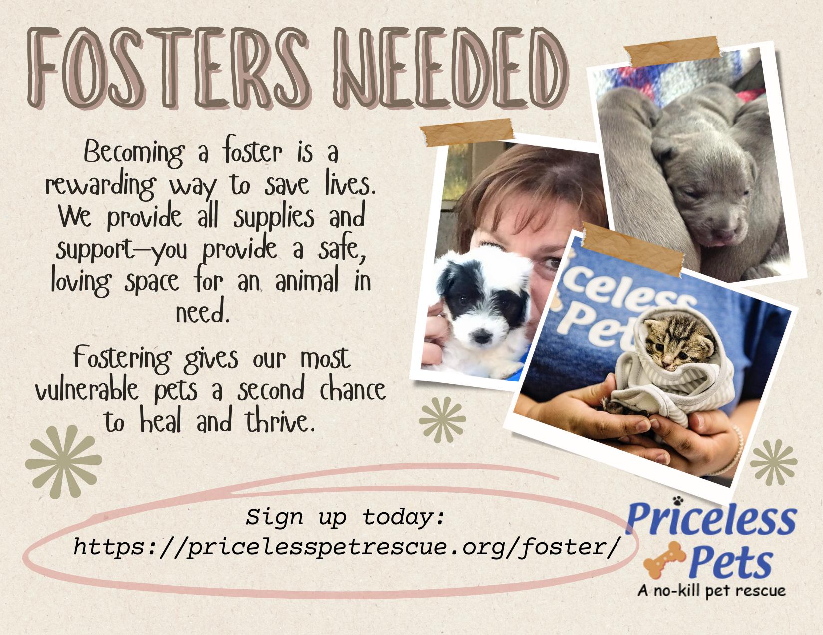 Priceless Pet Rescue photo 4