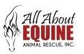 All About Equine Animal Rescue, Inc.