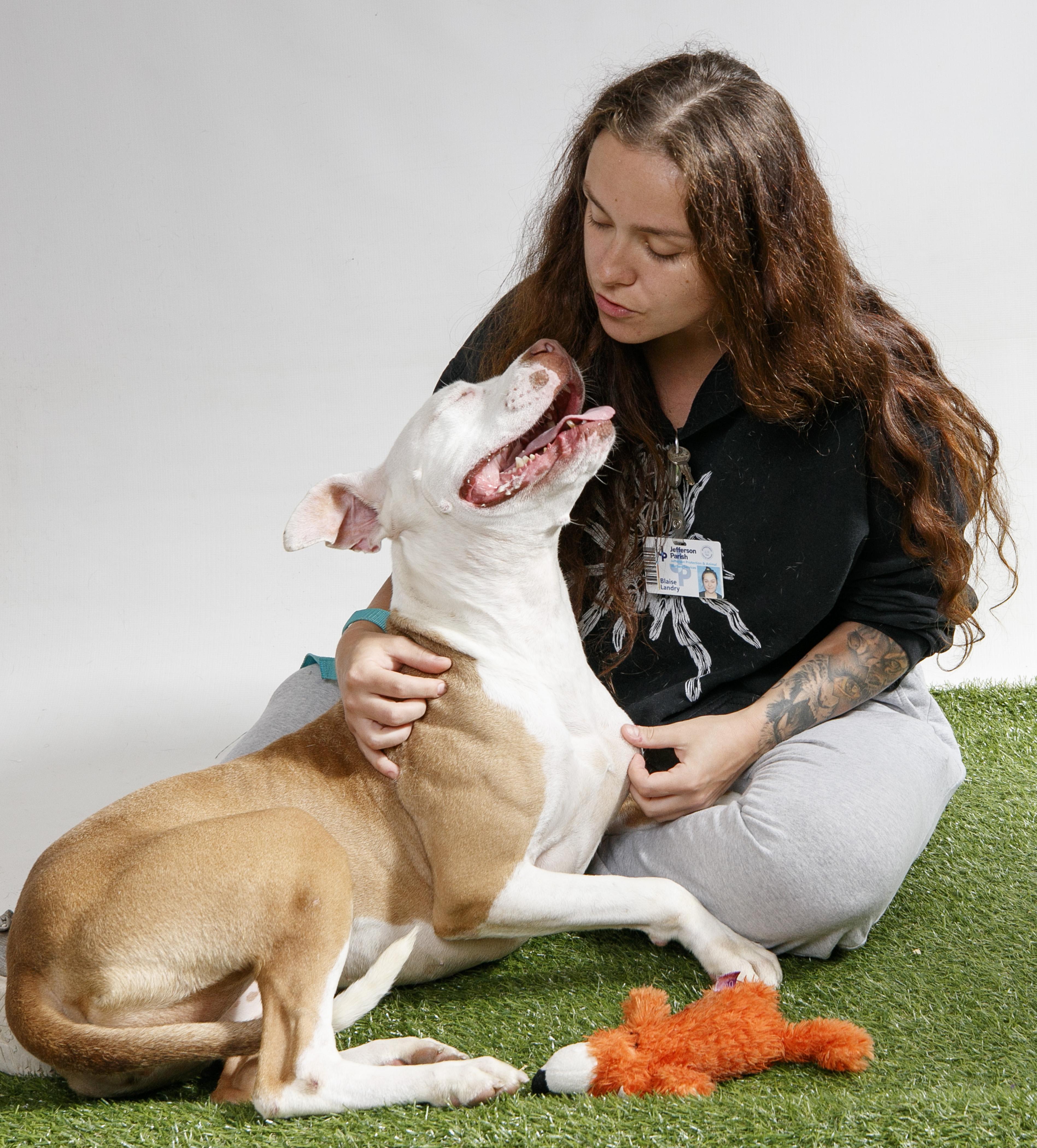 Jefferson Protection & Animal Welfare Services (JPAWS)