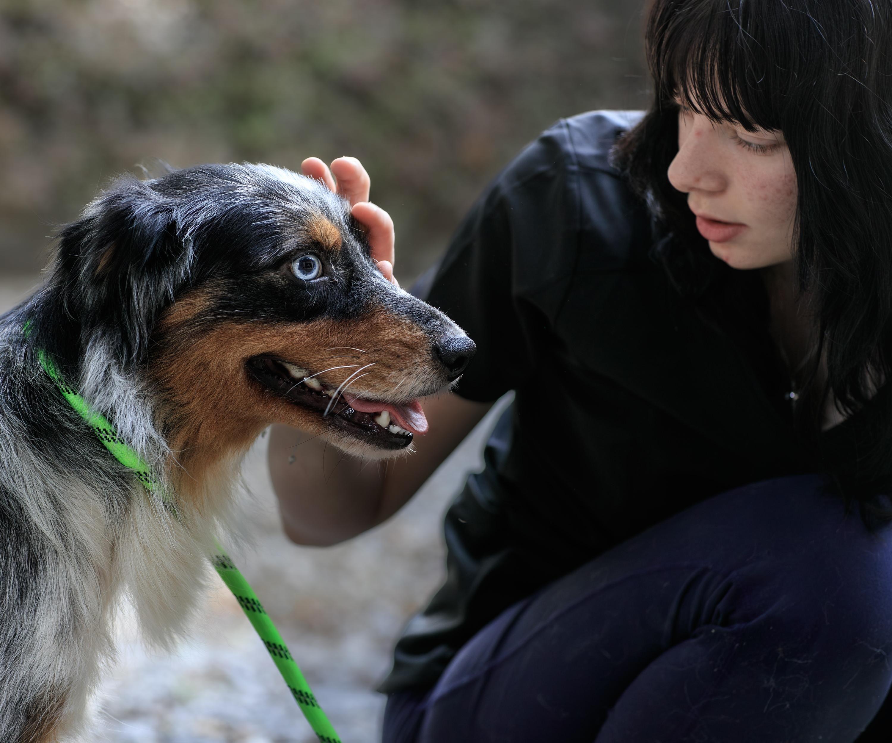Jefferson Protection & Animal Welfare Services (JPAWS) photo 1