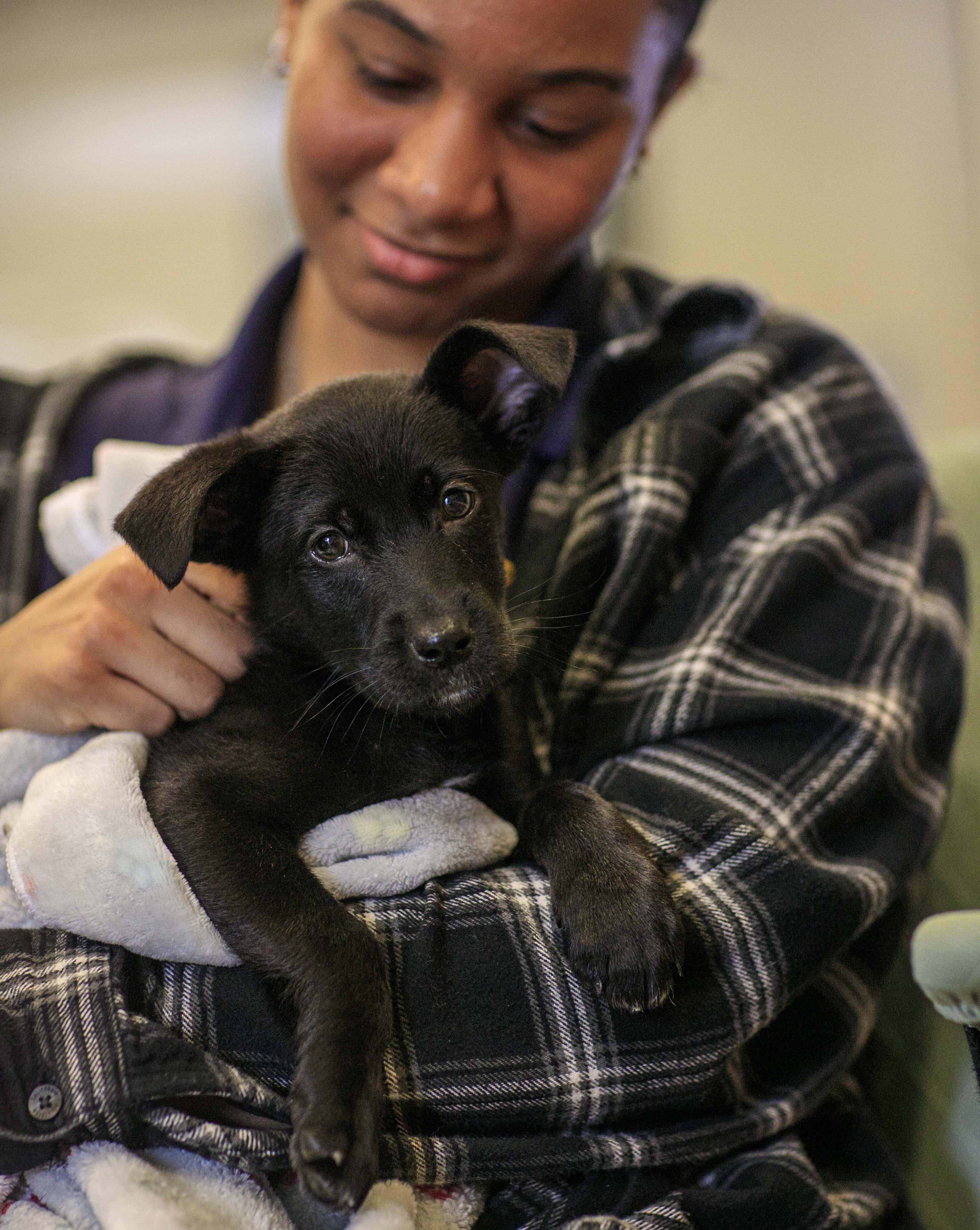 Jefferson Protection & Animal Welfare Services (JPAWS) photo 2