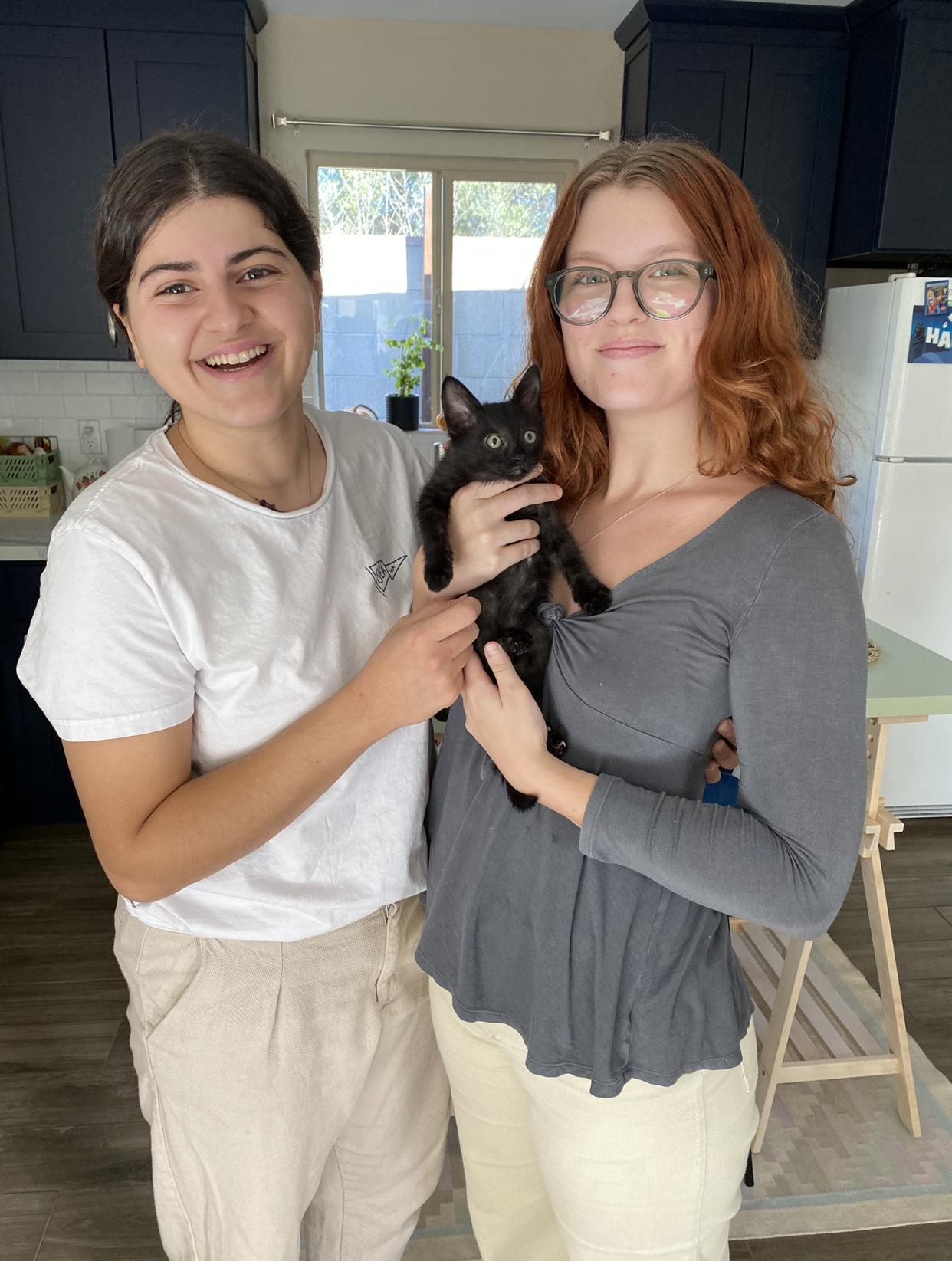 Thistle Cat Rescue & Sanctuary photo 5