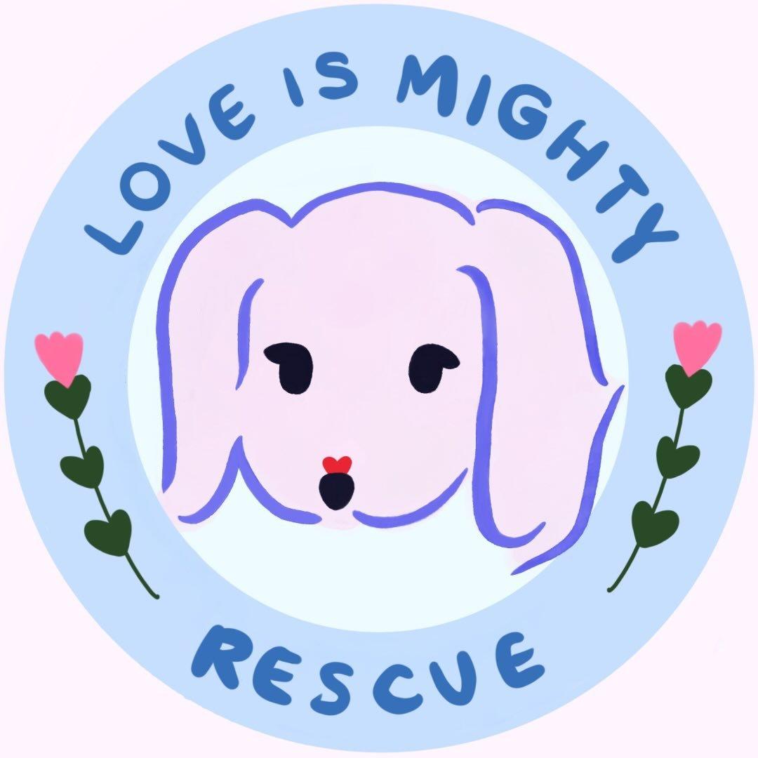 Love Is Mighty Rescue