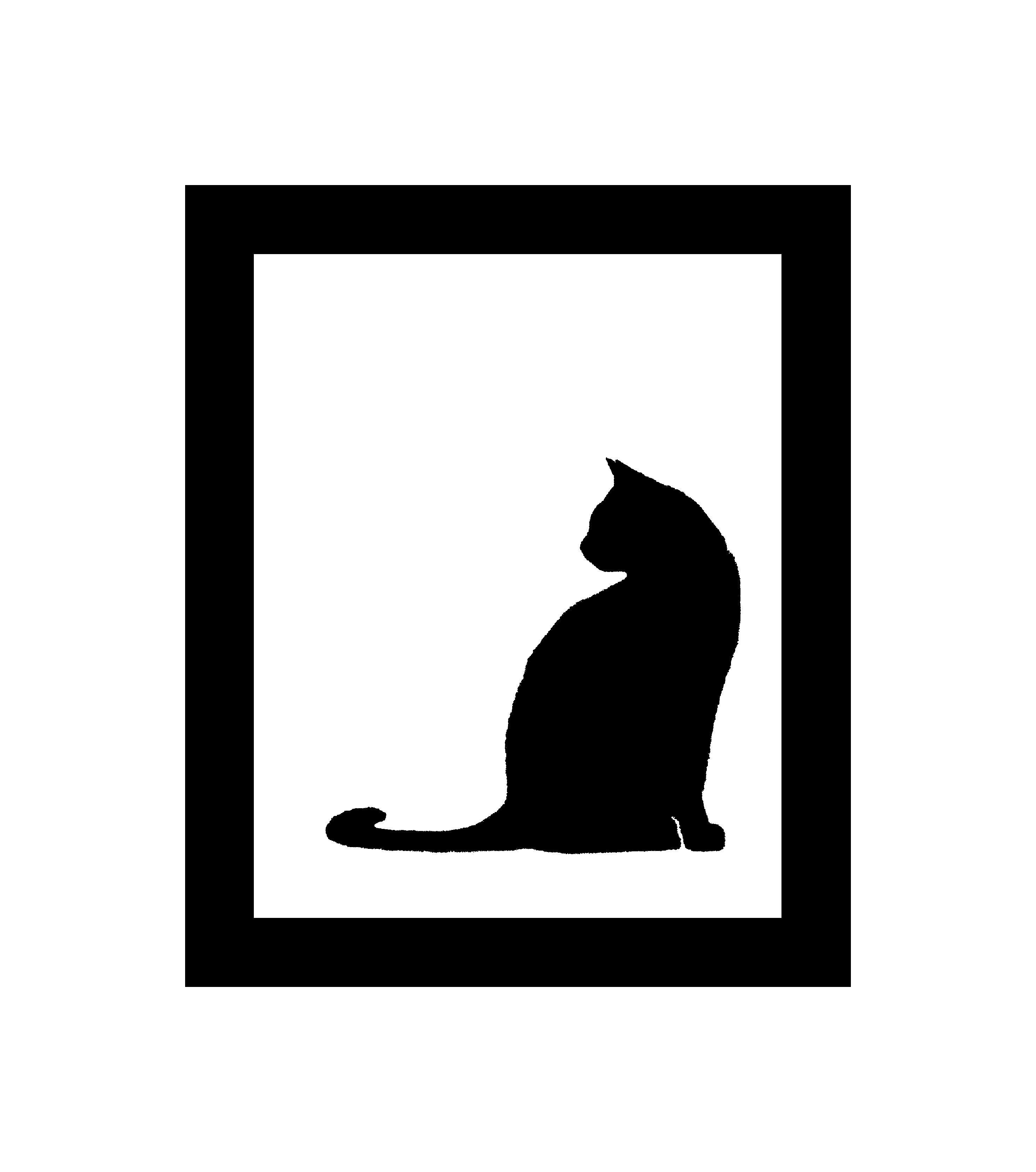 Beyond Nine Cat Rescue