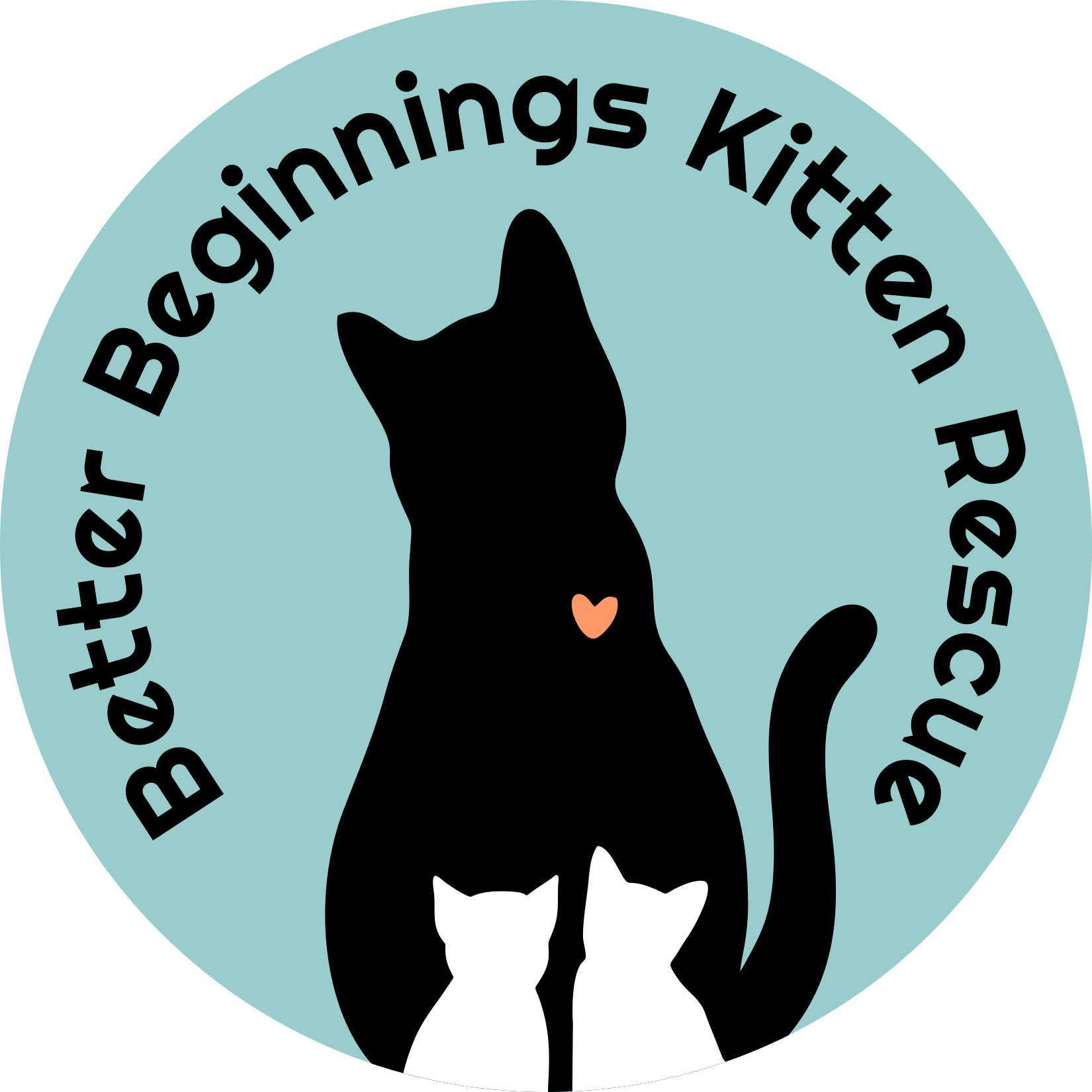 Better Beginnings Kitten Rescue