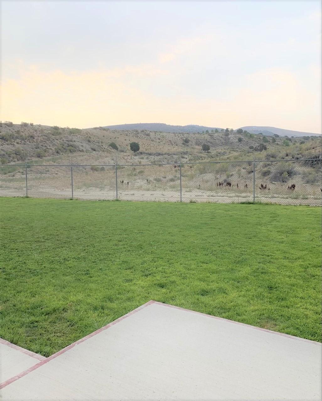 City of Elko Animal Shelter photo 2