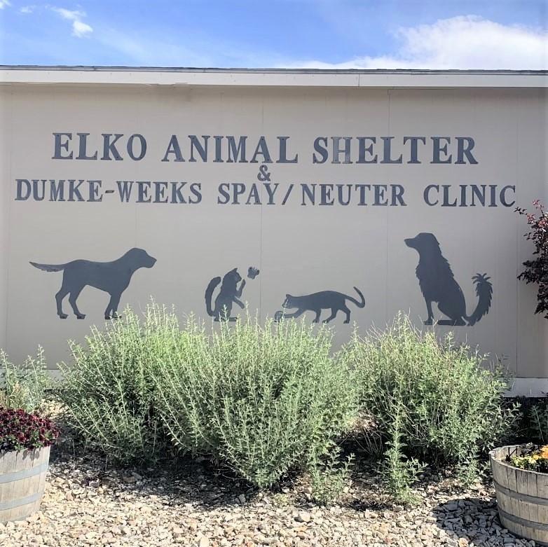 City of Elko Animal Shelter photo 1