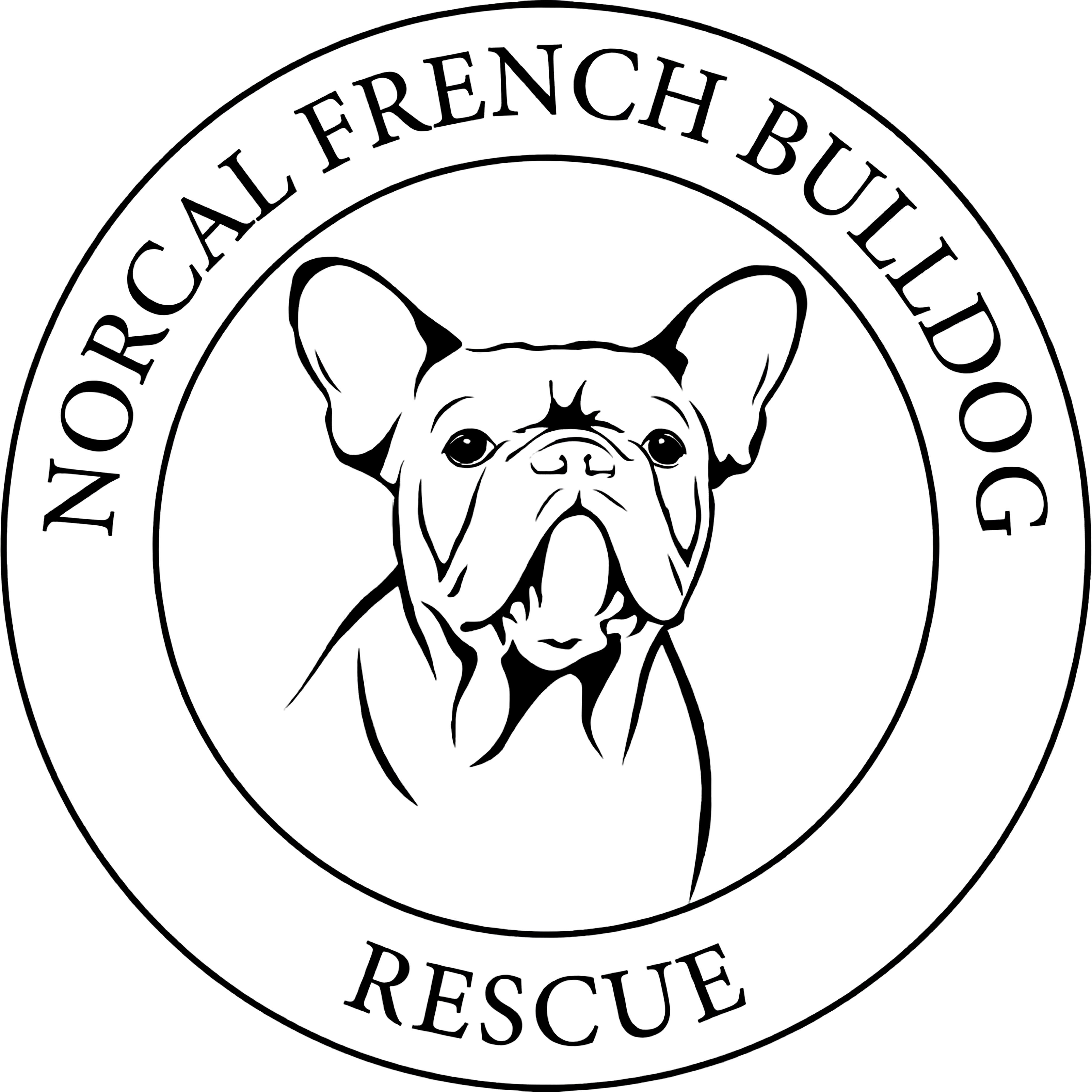Northern California French Bulldog Rescue