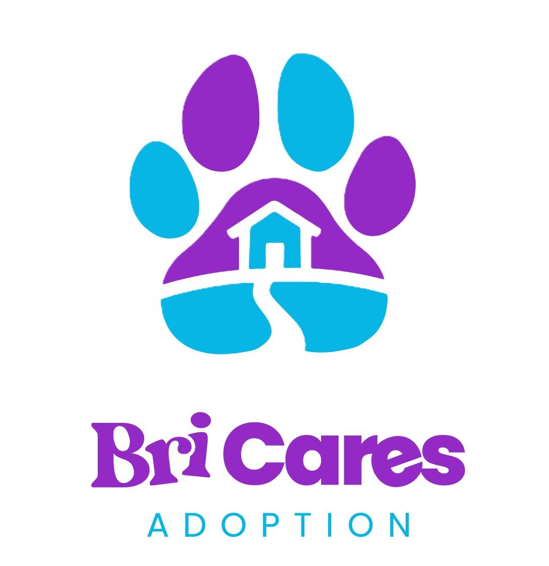 Bri Cares Adoption