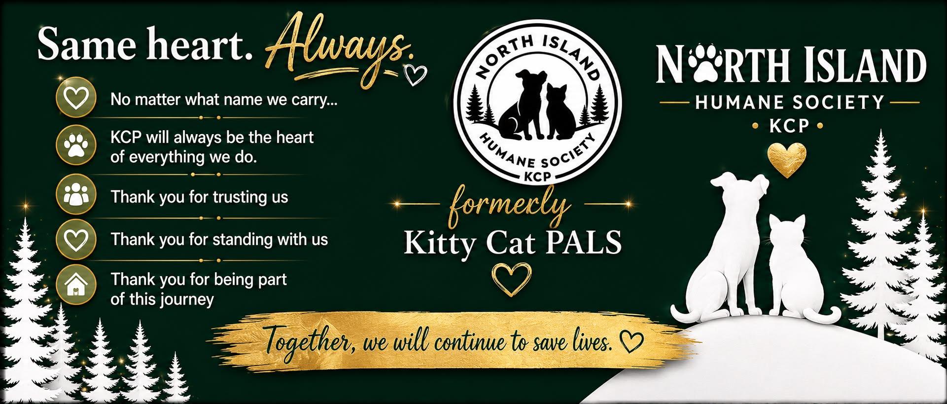 Kitty Cat PALS photo 2
