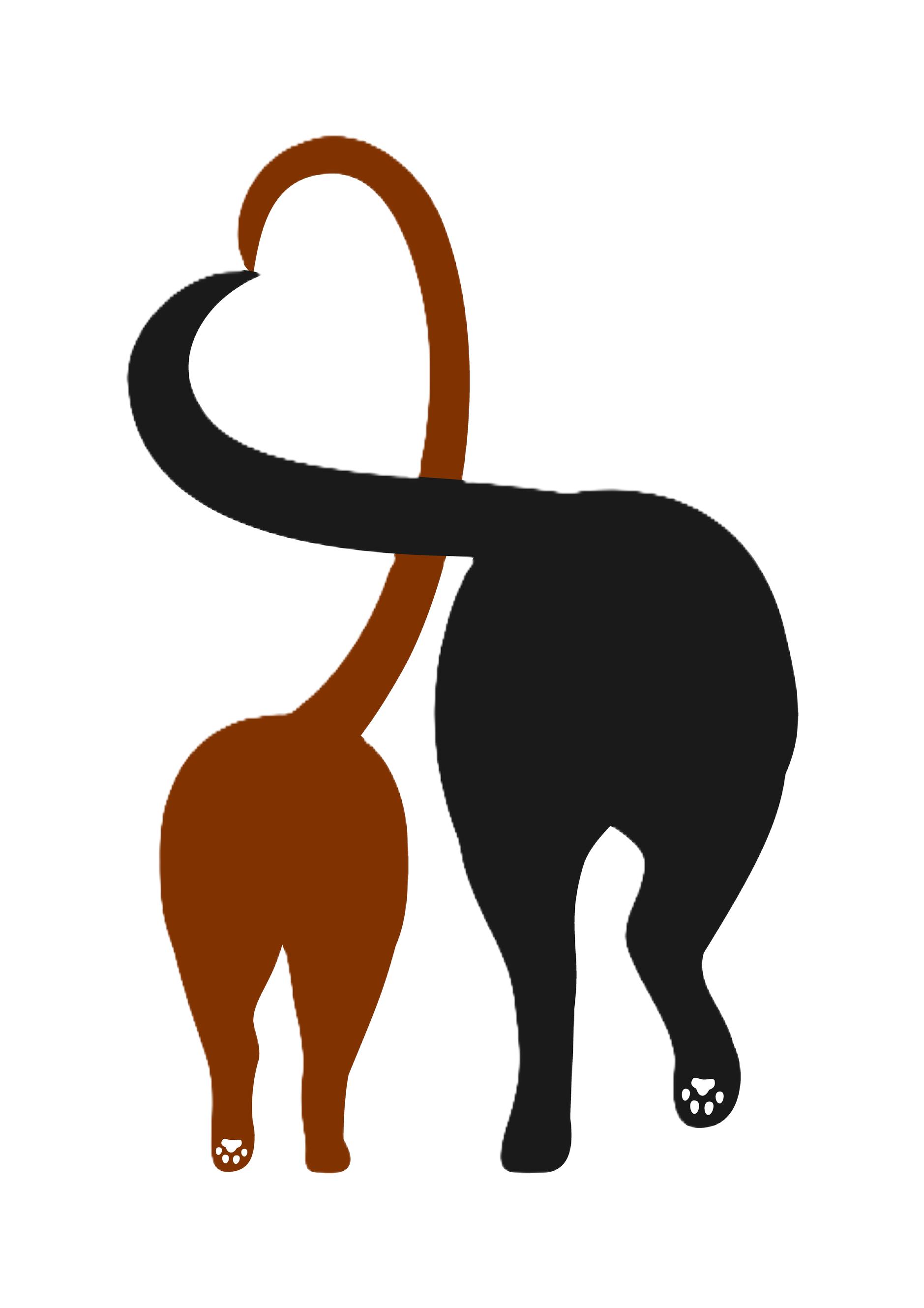 Kossuth County Tails of Hope Rescue