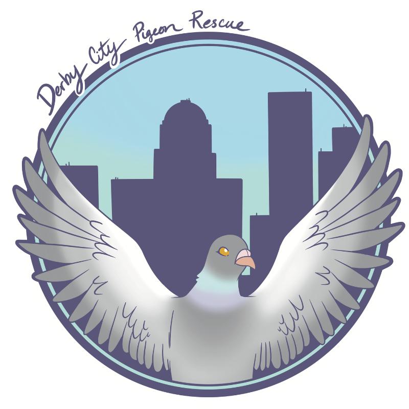 Derby City Pigeon Rescue