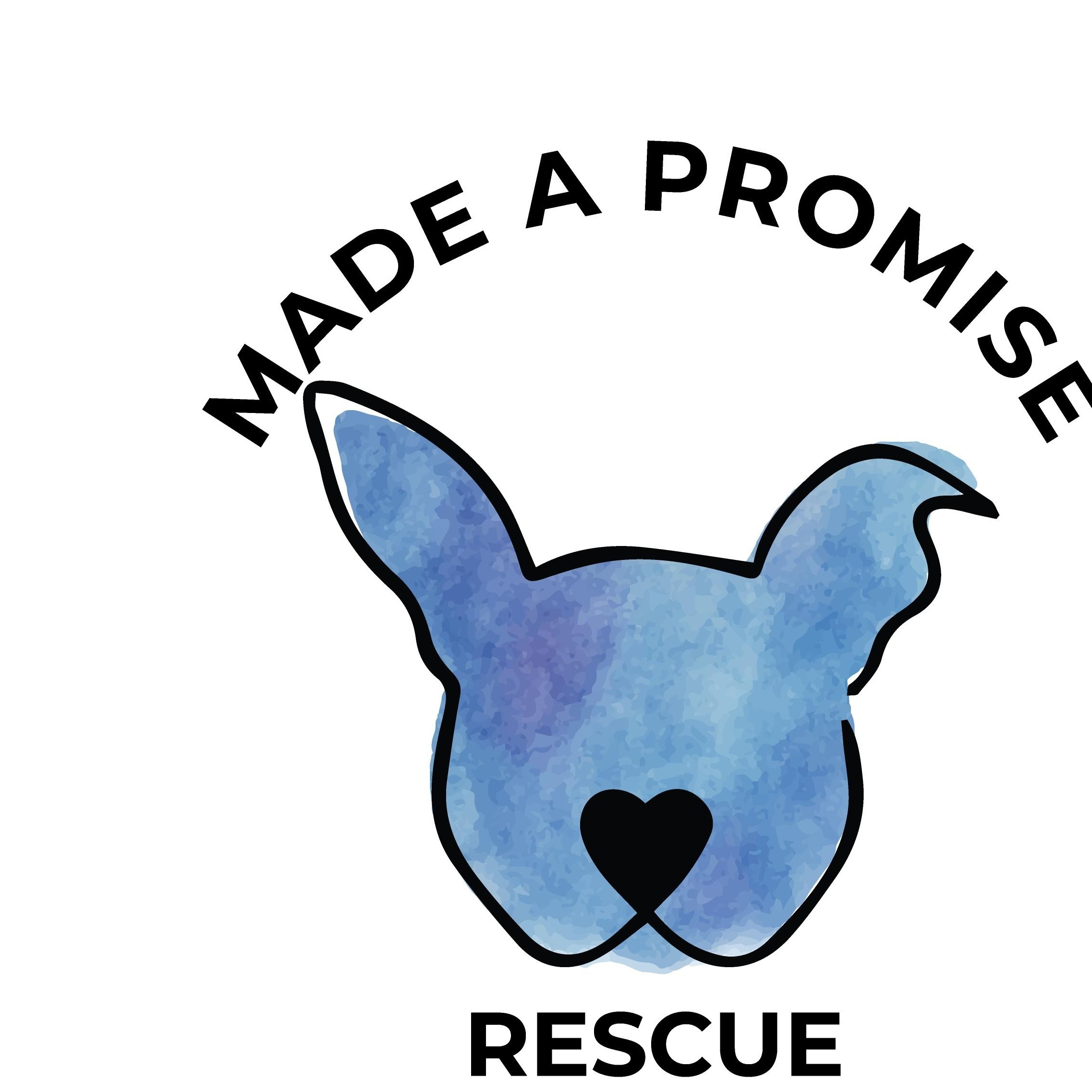 Made a Promise Rescue 
