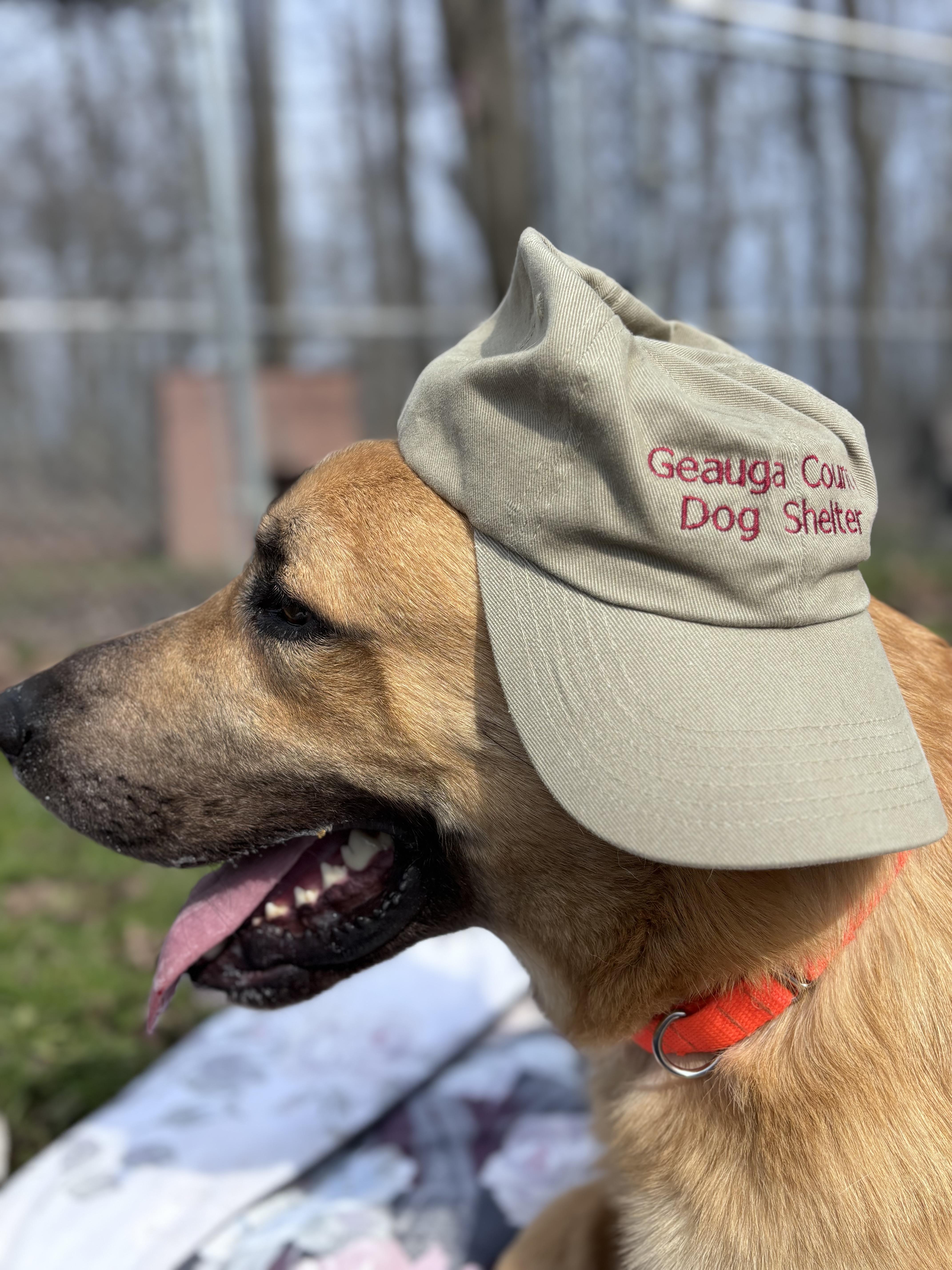 Geauga County Dog Shelter & Warden's Office