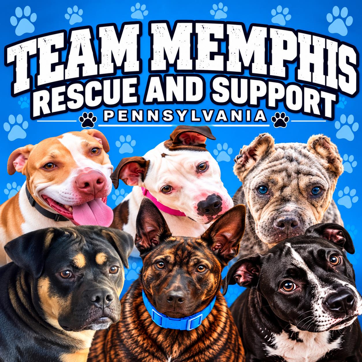 Team Memphis Rescue & Support photo 5