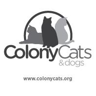 Colony Cats & dogs