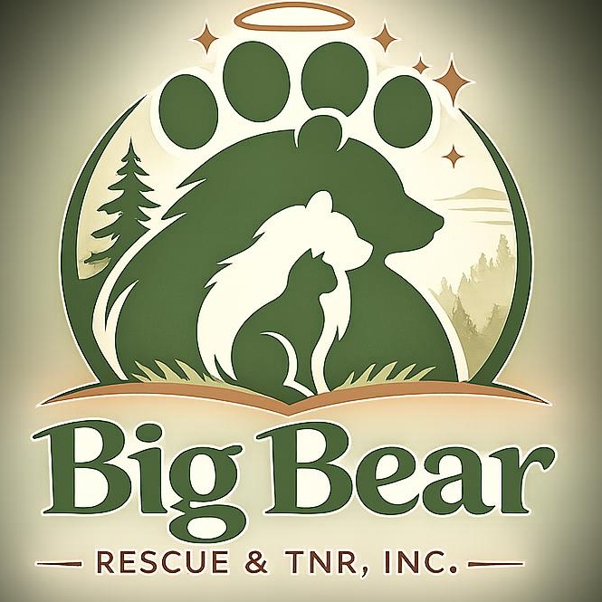 Big Bear Rescue & TNR, Inc.
