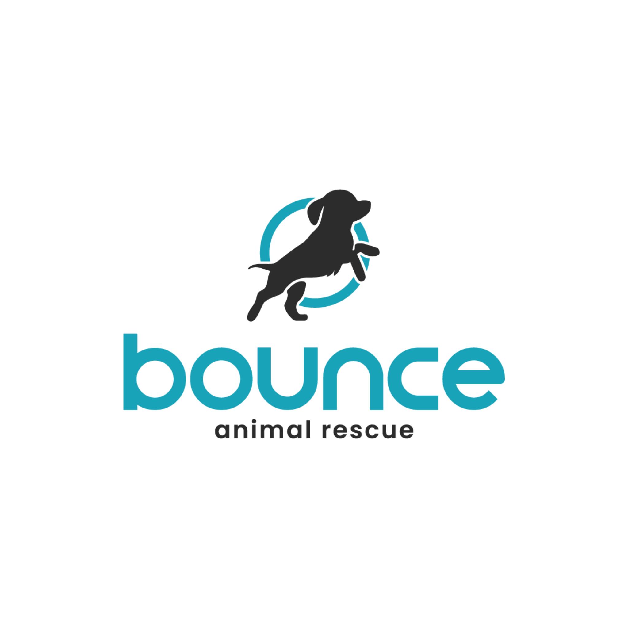 Bounce Animal Rescue
