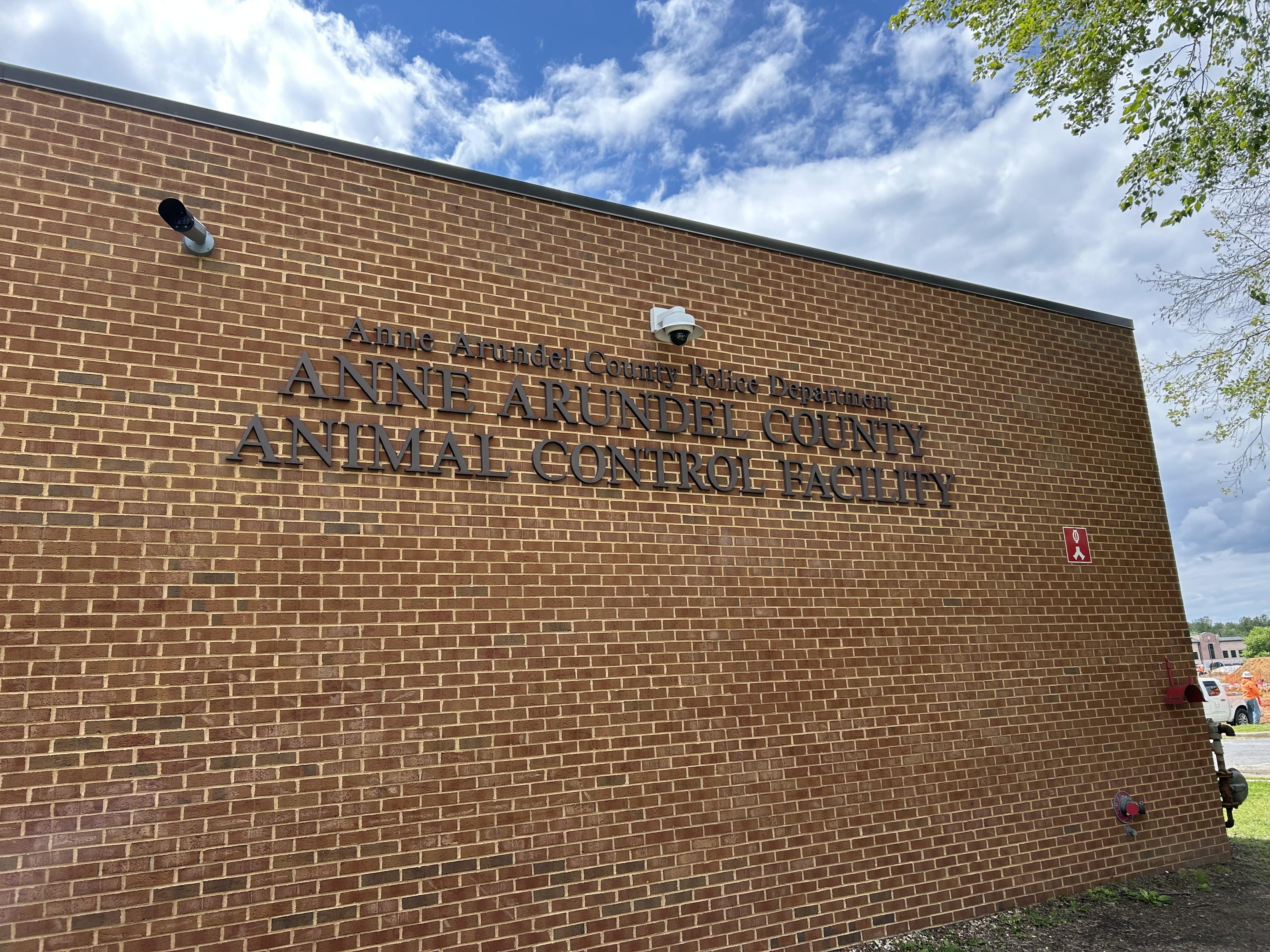 Anne Arundel County Animal Care & Control