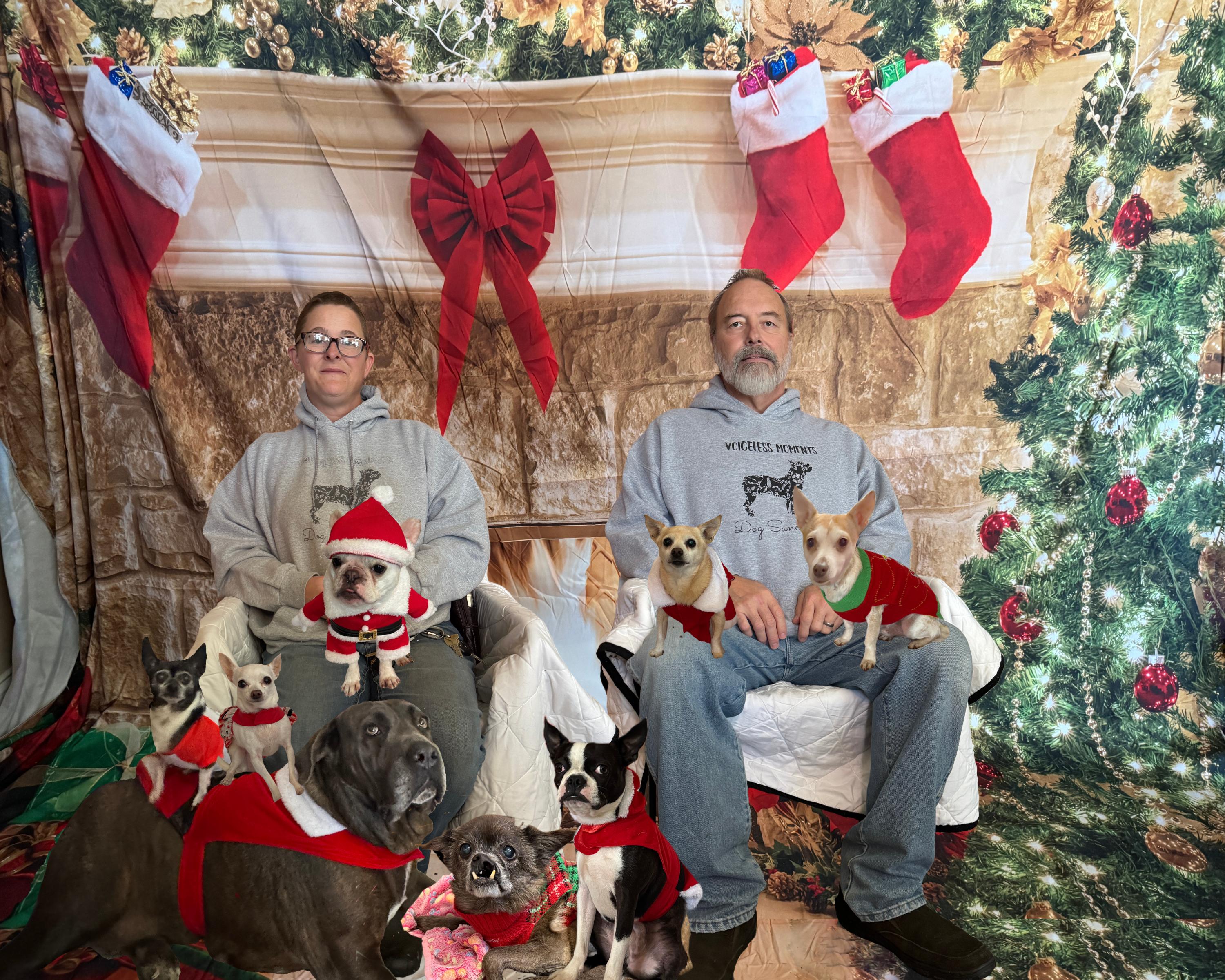 Voiceless Moments Dog Sanctuary and Rescue