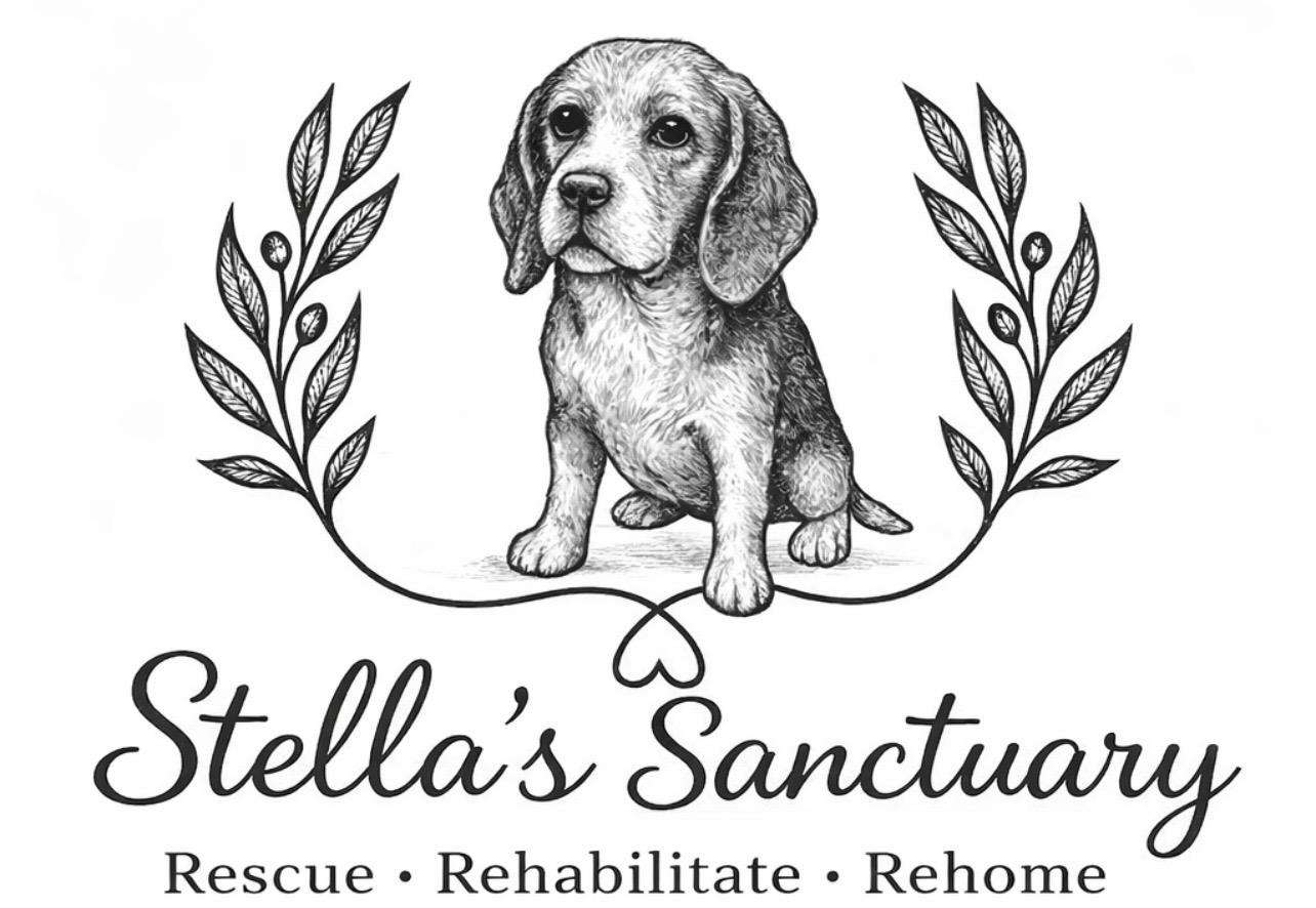 Stella's Sanctuary