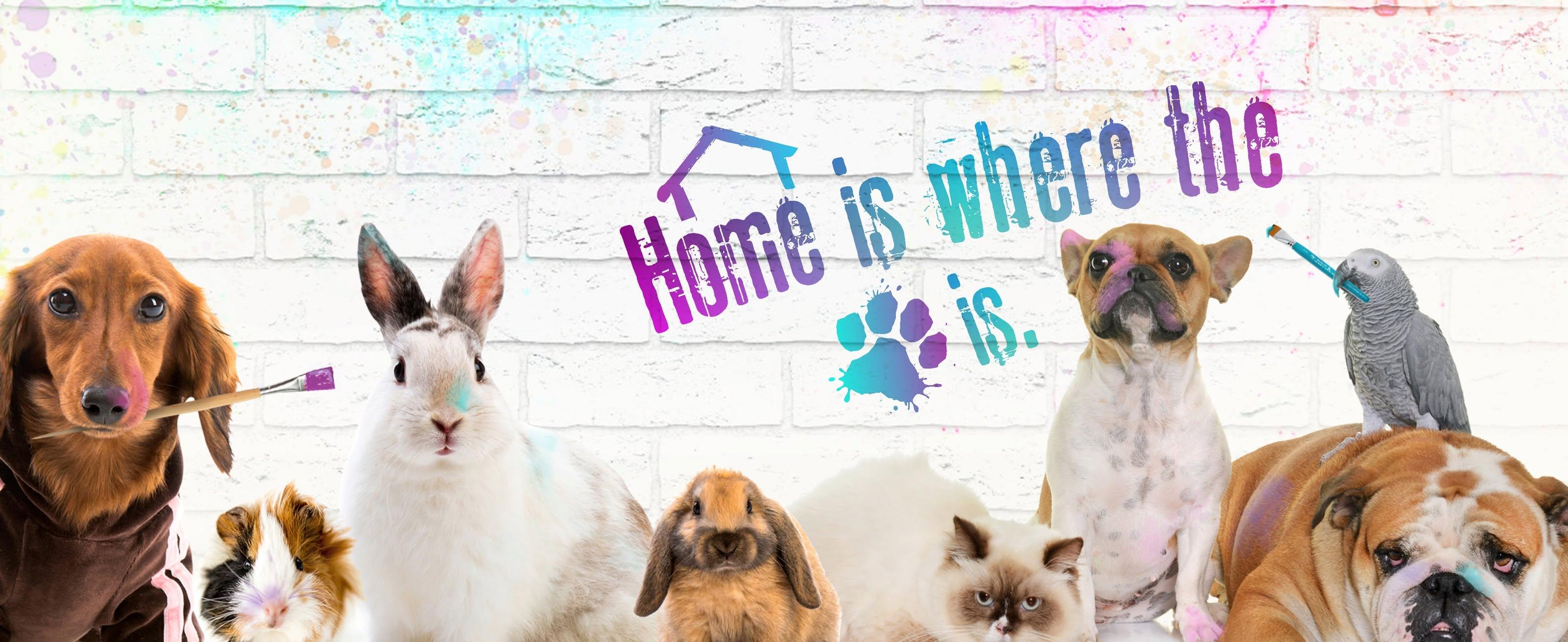 Effingham County Animal Shelter photo 2