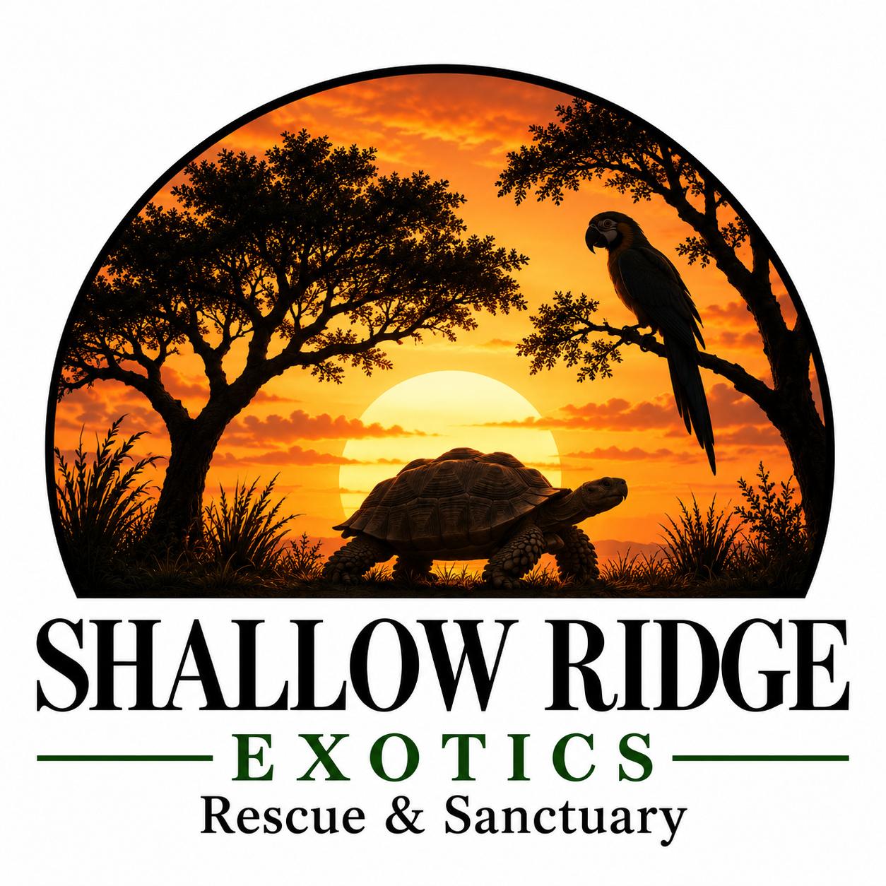 Shallow Ridge Exotics