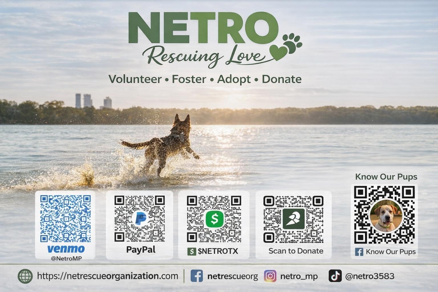 Northeast Texas Rescue Organization