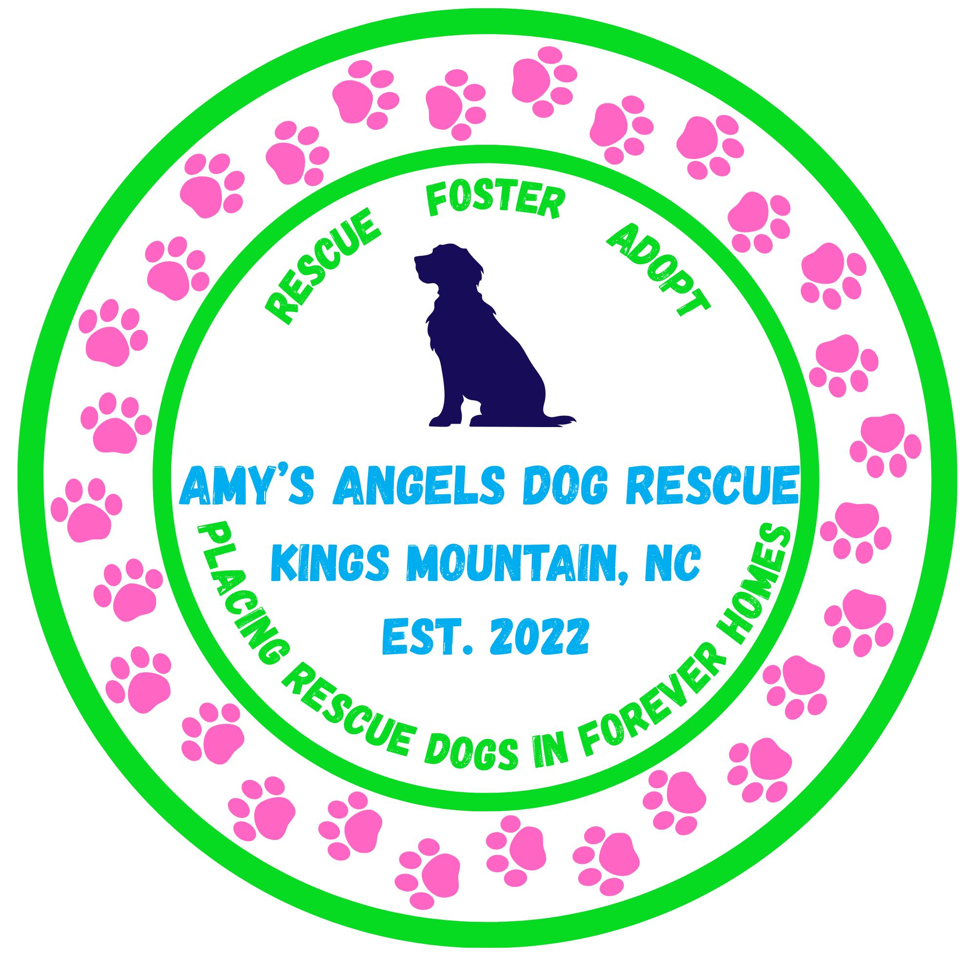 Amy’s Angels Dog Rescue