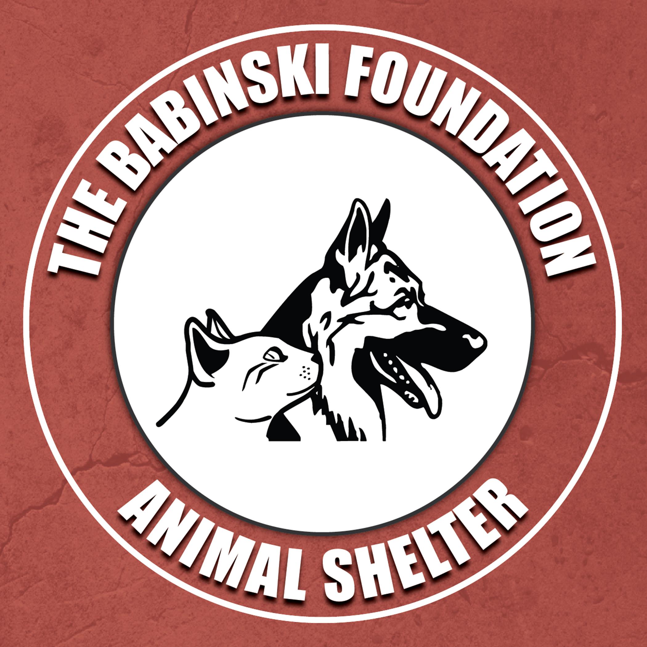 The Babinski Foundation