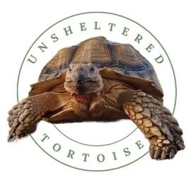 Unsheltered Tortoise & Turtle