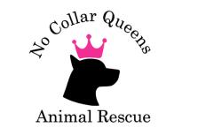 No Collar Queens