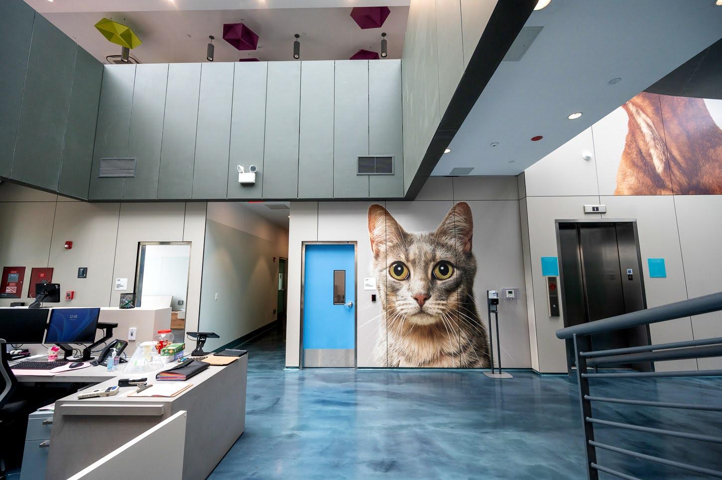 Animal Care Centers of NYC - Queens photo 5