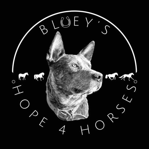 Bluey's Hope 4 Horses & Heelers