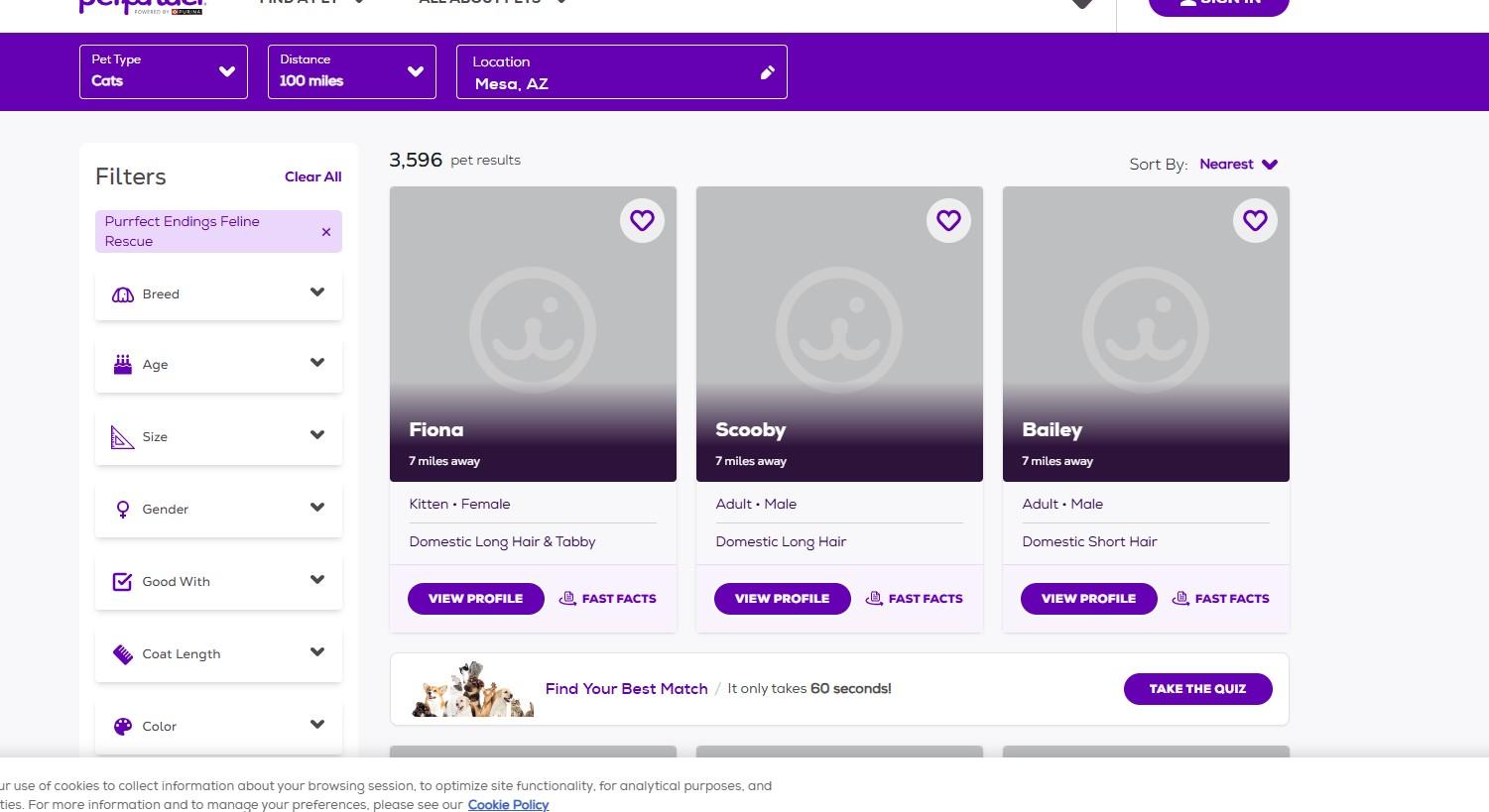 Purrfect Endings Feline Rescue