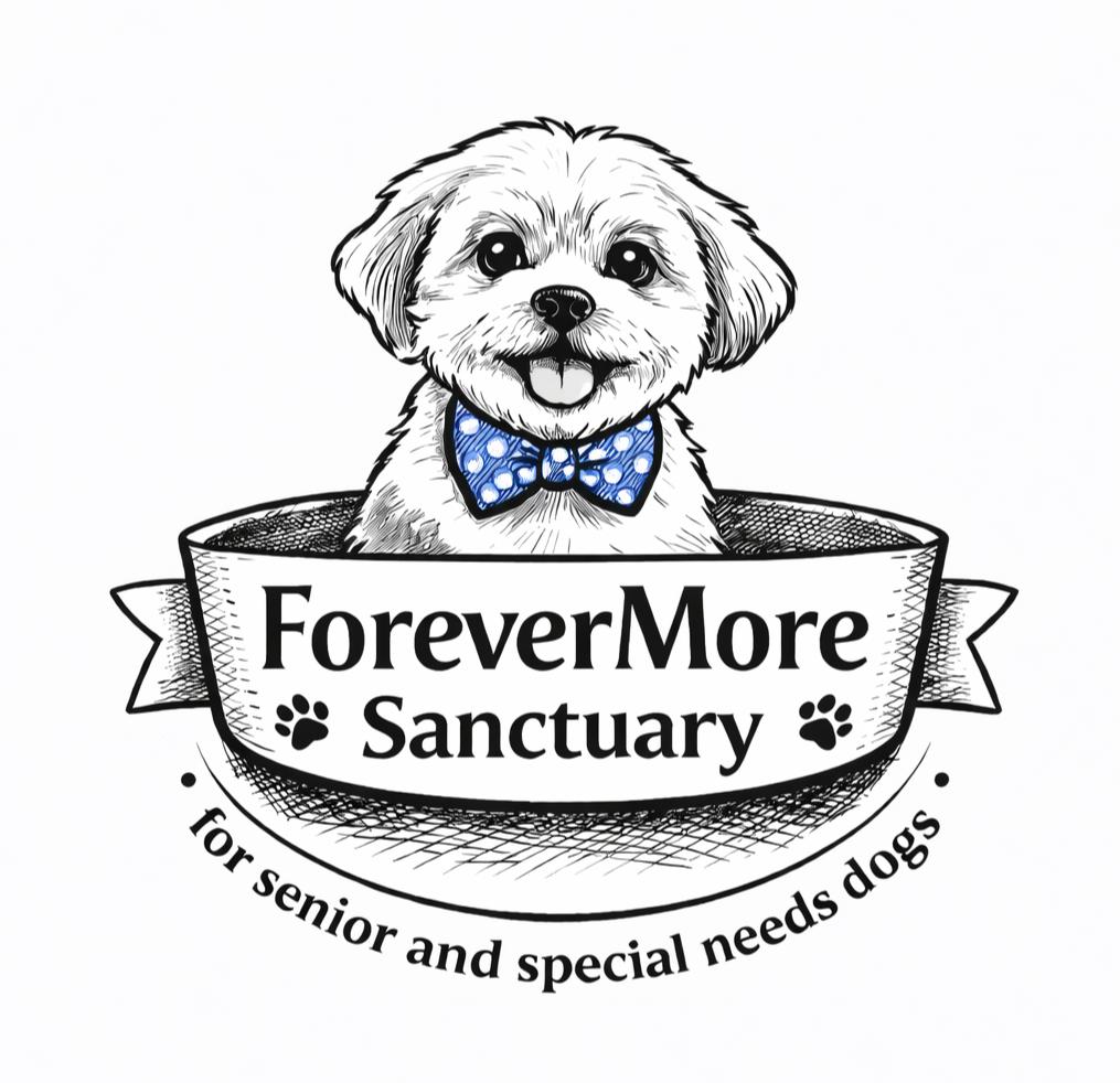ForeverMore Sanctuary